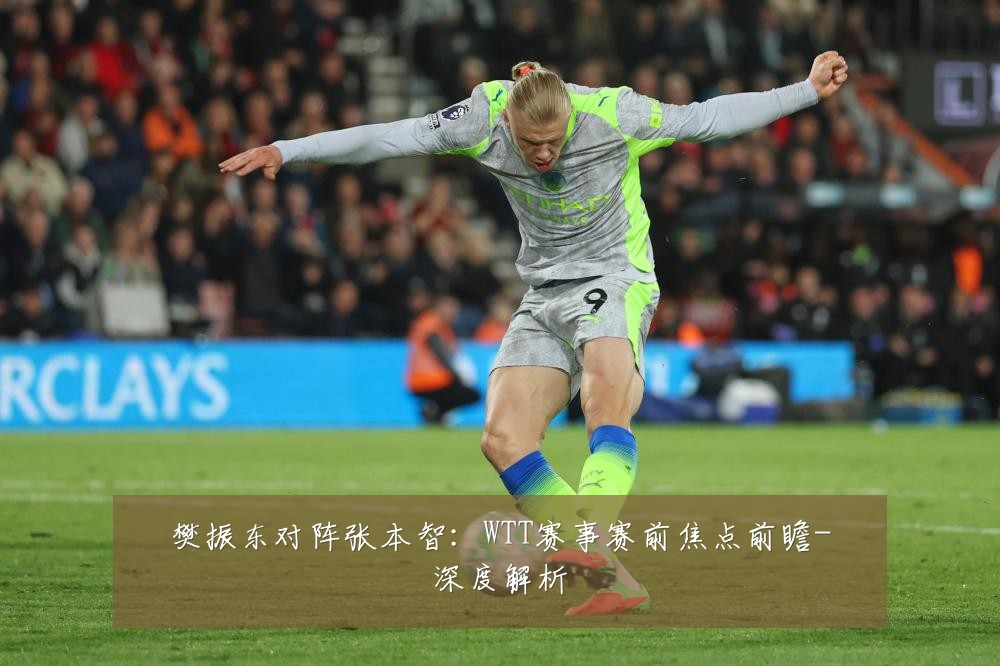 樊振东对阵张本智:WTT赛事赛前焦点前瞻-深度解析